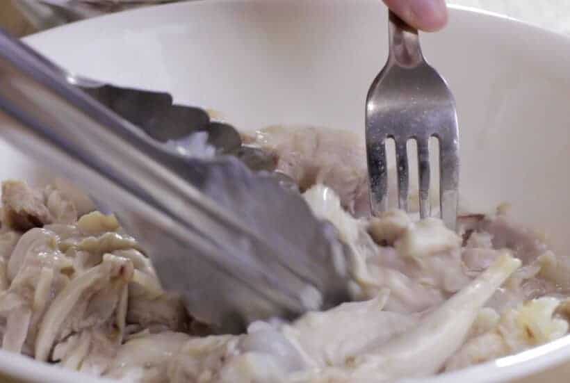 shred chicken  #AmyJacky #recipe #chicken