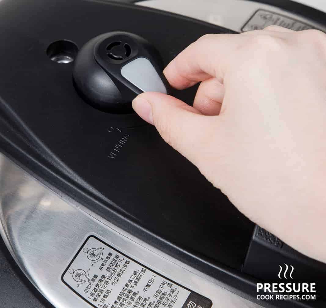 Tatung TPC6LB 6 Liters Electric Pressure Cooker Review