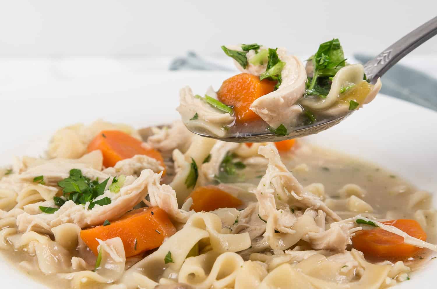 Instant Pot Chicken Noodle Soup.