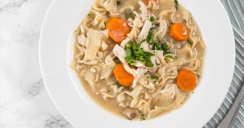 chicken noodle soup