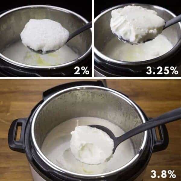 instant-pot-yogurt-milk-choice