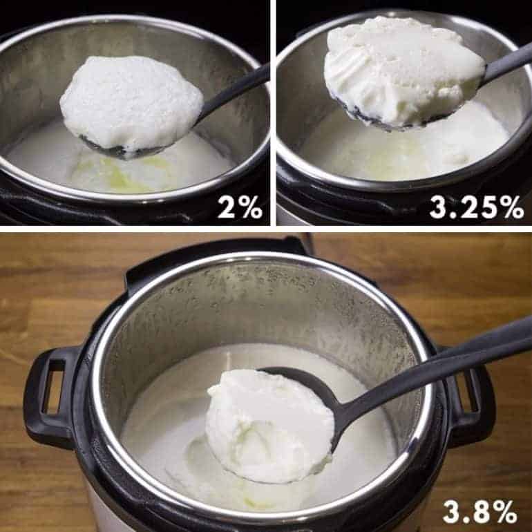 Instant Pot Yogurt Experiment Tested by Amy + Jacky