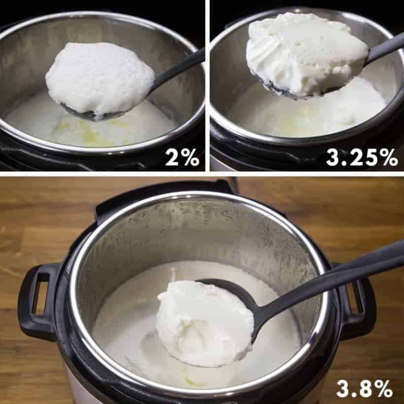 Instant Pot Yogurt Milk Choice