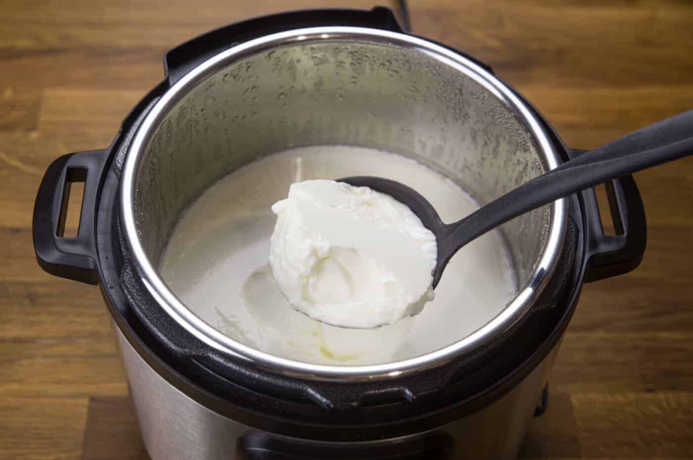 Foolproof Instant Pot Yogurt 12 (Ultimate Beginner's Guide) Amy + Jacky