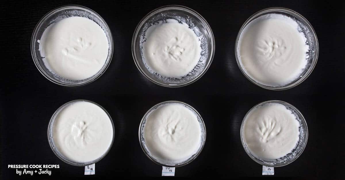 Instant Pot Yogurt Experiment Tested by Amy + Jacky