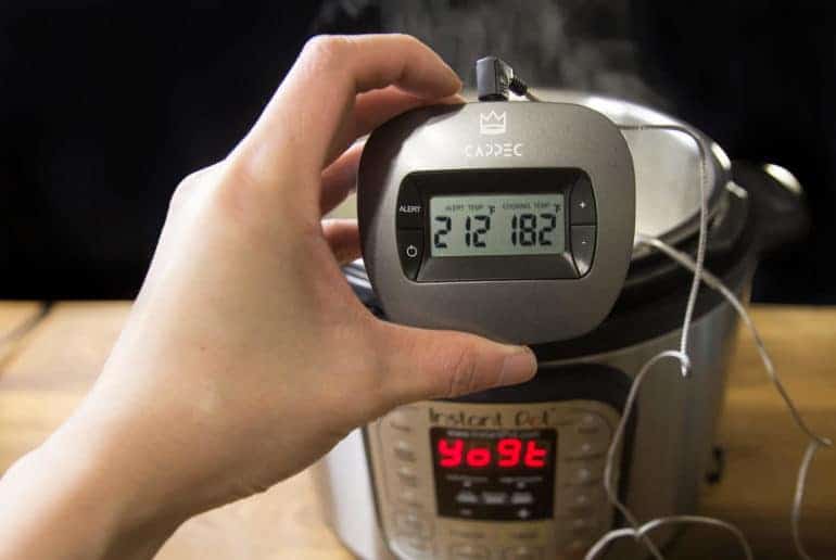 Foolproof Instant Pot Yogurt 12 (Ultimate Beginner's Guide) Amy + Jacky