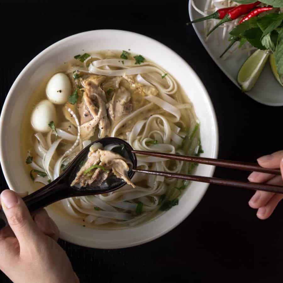 Instant Pot Pho (Vietnamese Beef Noodle Soup) Tested by Amy + Jacky