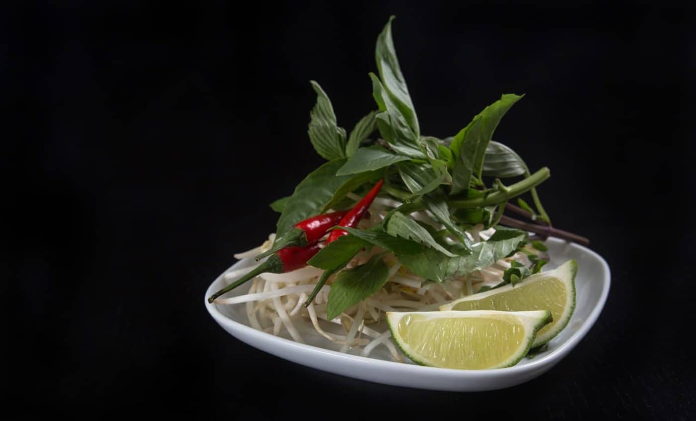 Instant Pot Pho Ga (Vietnamese Chicken Pho) Tested by Amy + Jacky