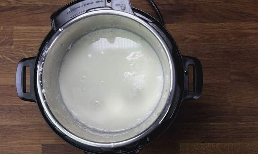 Instant Pot Soy Milk 豆漿 (Pressure Cooker Soy Milk) Amy + Jacky
