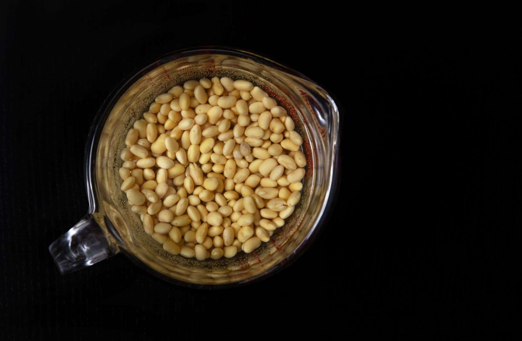 Instant Pot Soy Milk 豆漿 (Pressure Cooker Soy Milk) Amy + Jacky