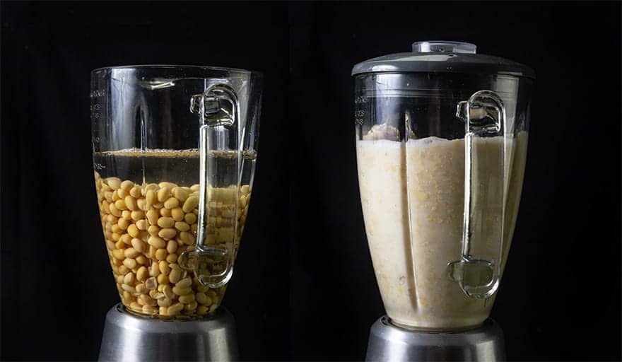 Instant Pot Soy Milk 豆漿 (Pressure Cooker Soy Milk) Amy + Jacky