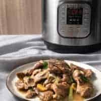 Instant Pot Pork Shoulder | Instapot Pork Shoulder | Pressure Cooker Pork Shoulder | Instant Pot Pork Butt | Instant Pot Boston Butt | Instant Pot Pork | Instant Pot Chinese Recipes | Recipes | Pork Shoulder Recipes | Pork Recipes #instantpot #pressurecooker #recipes #chinese #pork #easy #dinner