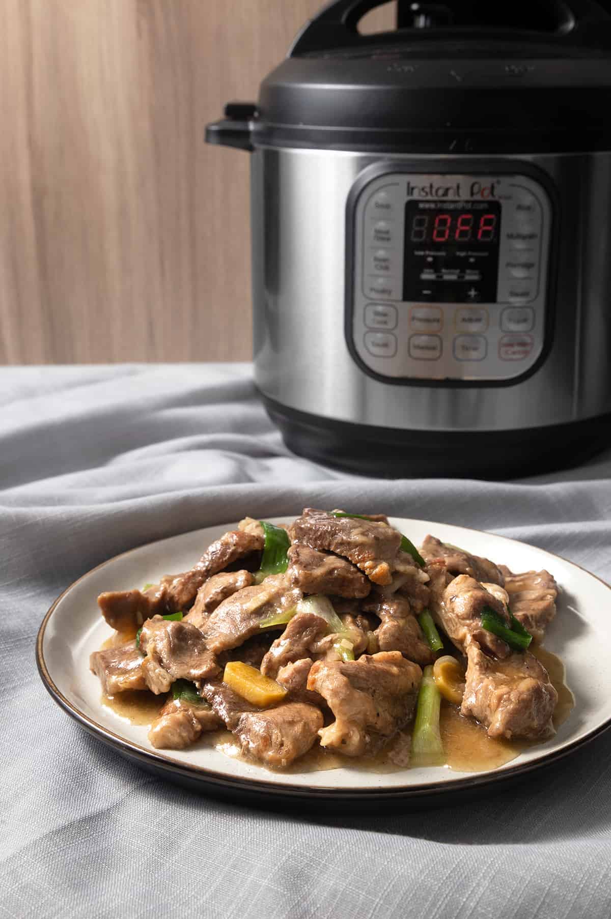 Instant Pot Pork Shoulder | Instapot Pork Shoulder | Pressure Cooker Pork Shoulder | Instant Pot Pork Butt | Instant Pot Boston Butt | Instant Pot Pork | Instant Pot Chinese Recipes | Recipes | Pork Shoulder Recipes | Pork Recipes #instantpot #pressurecooker #recipes #chinese #pork #easy #dinner