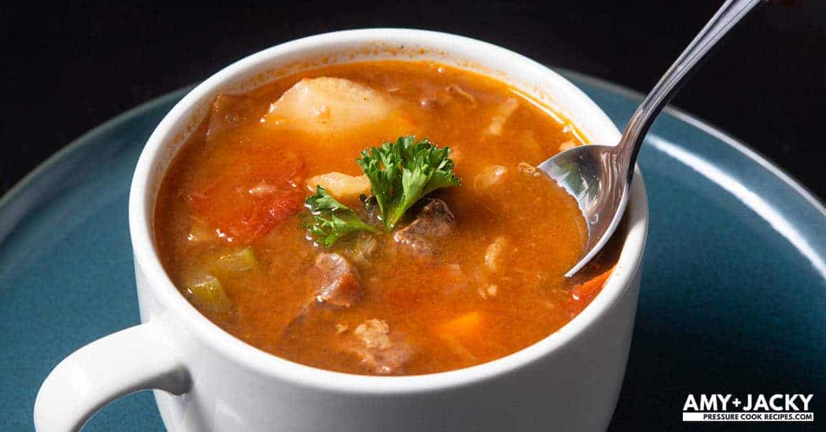 Instant Pot HK Borscht Soup Tested by Amy + Jacky