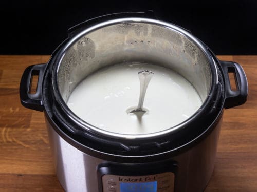 2-Ingredient Instant Pot Yogurt Recipe (Cold Start, No Boil)