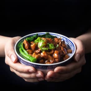 Instant Pot lu rou fan | 滷肉飯 | pressure cooker lu rou fan | taiwanese braised pork | taiwanese braised pork belly | instant pot pork | pork belly recipes | ru rou fan | taiwanese pork rice | taiwanese minced pork #AmyJacky #InstantPot #PressureCooker #recipes #taiwanese #asian #pork
