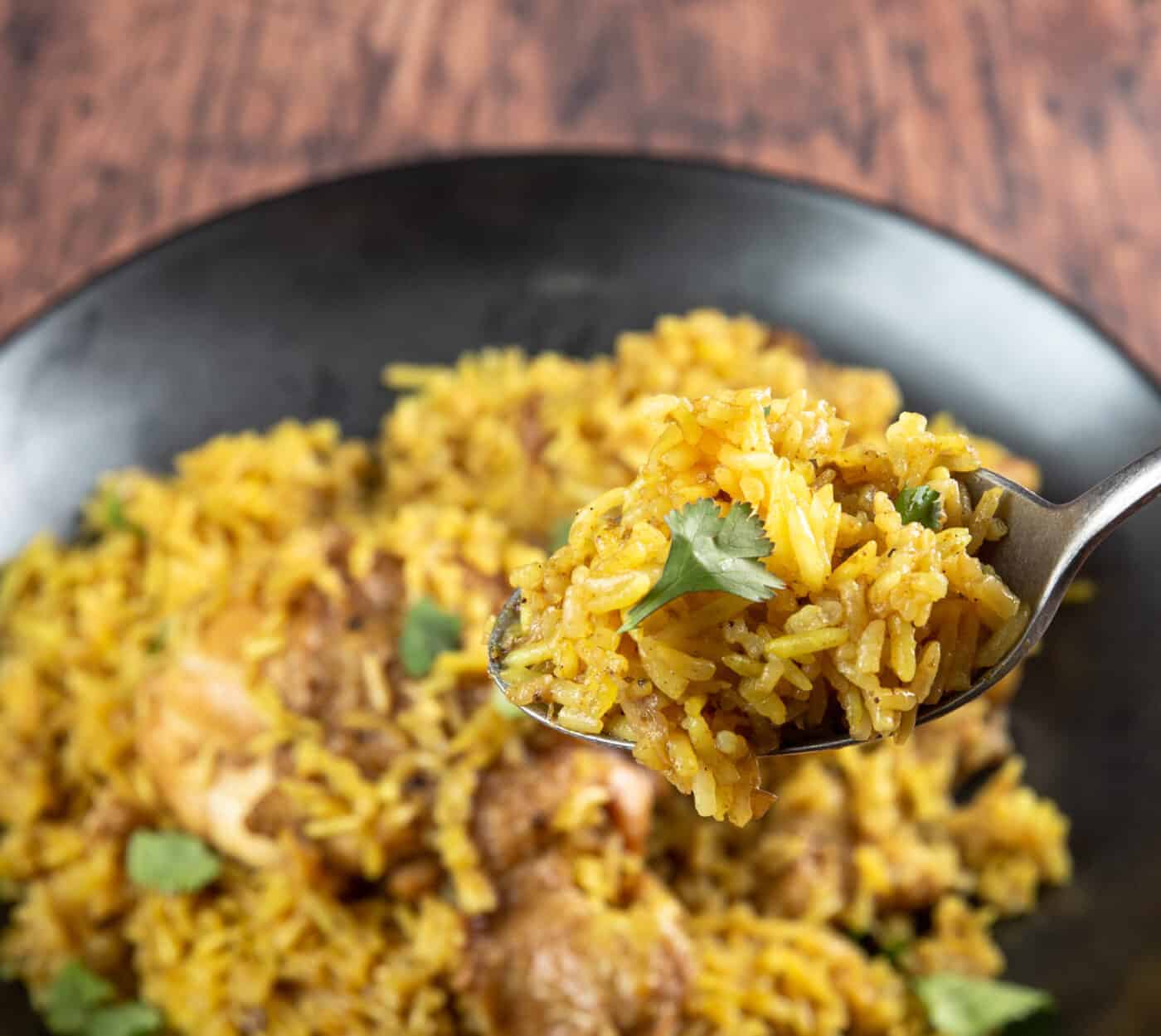 Instant Pot Chicken Biryani Tested by Amy + Jacky
