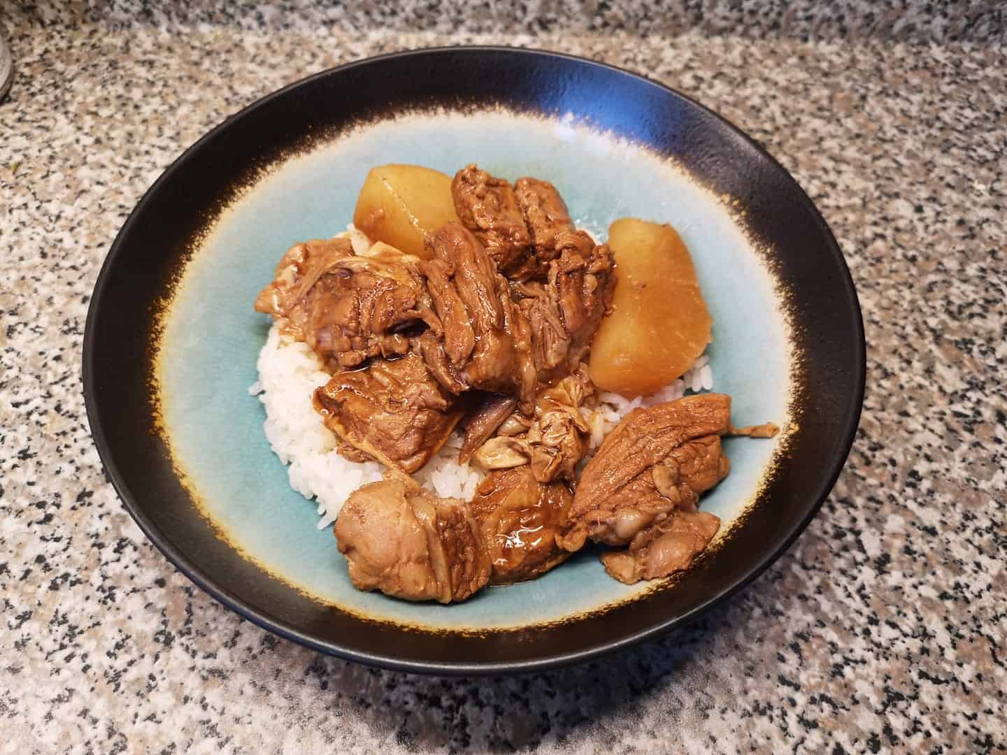 Instant Pot Chinese Beef Stew Tested by Amy + Jacky