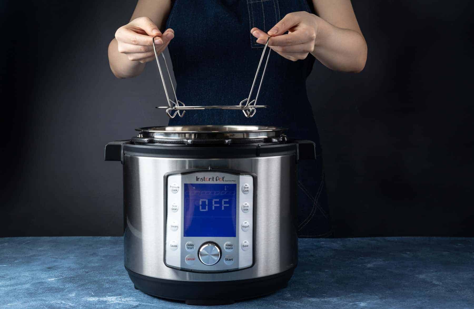 Instant Pot Setup Guide (Step-by-Step Photos & Video)