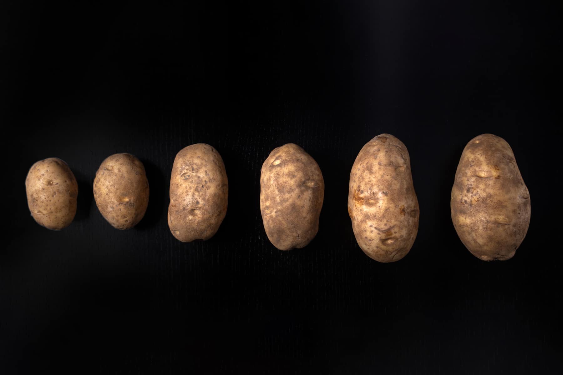 Best Instant Pot Baked Potatoes (with Time Chart) Tested by Amy + Jacky