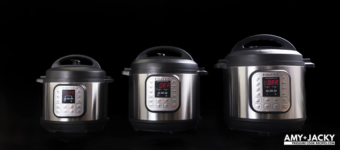 The Best Instant Pot to Buy (2021) Tested by Amy + Jacky