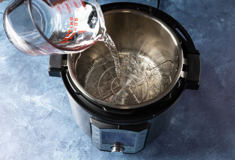 Instant Pot Trivet Beginner's Guide : How to Use + All You Need to Know