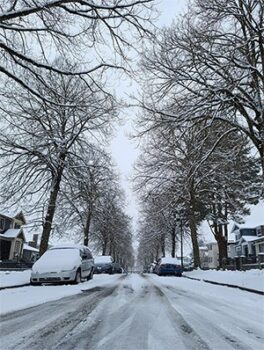 newsletter-20210222-a