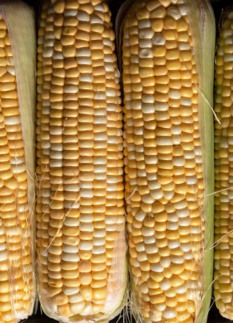 corn on the cob recipe