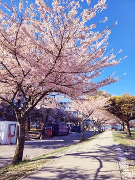 newsletter-20210511a