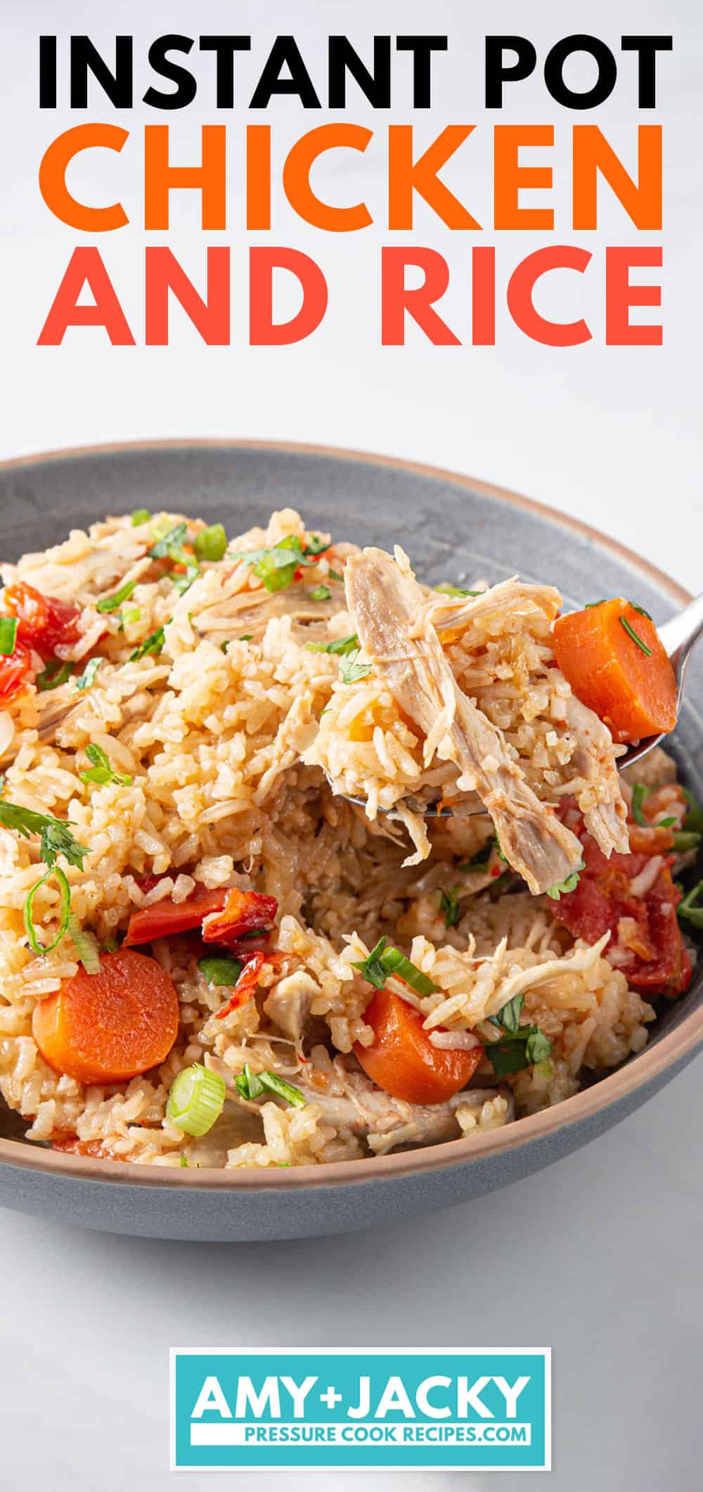 Instant Pot Chicken and Rice (VIDEO) 