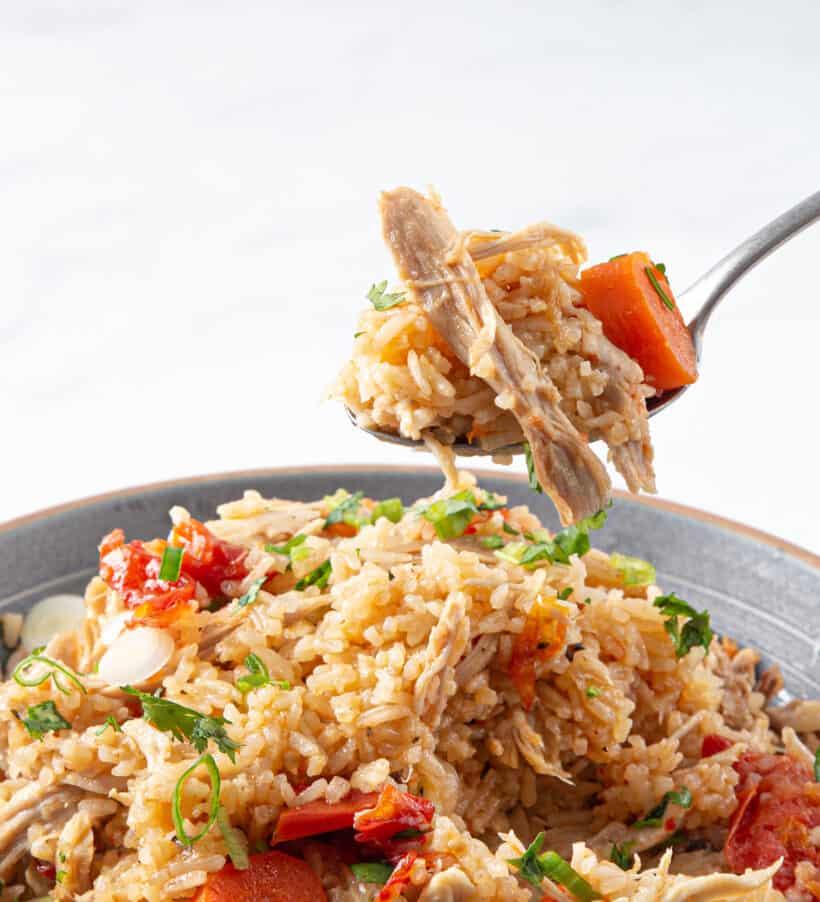 instant pot chicken rice