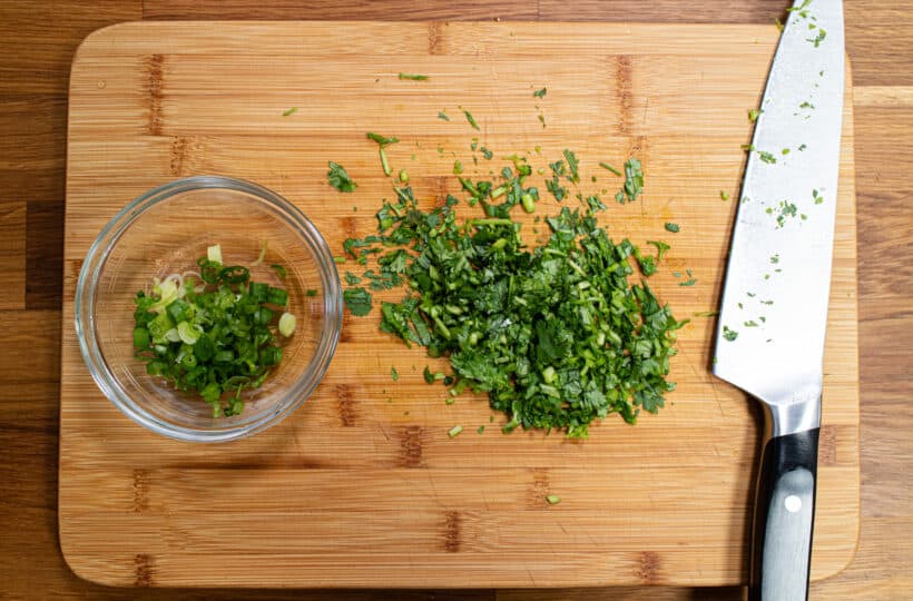 garnishments: green onions and cilantro