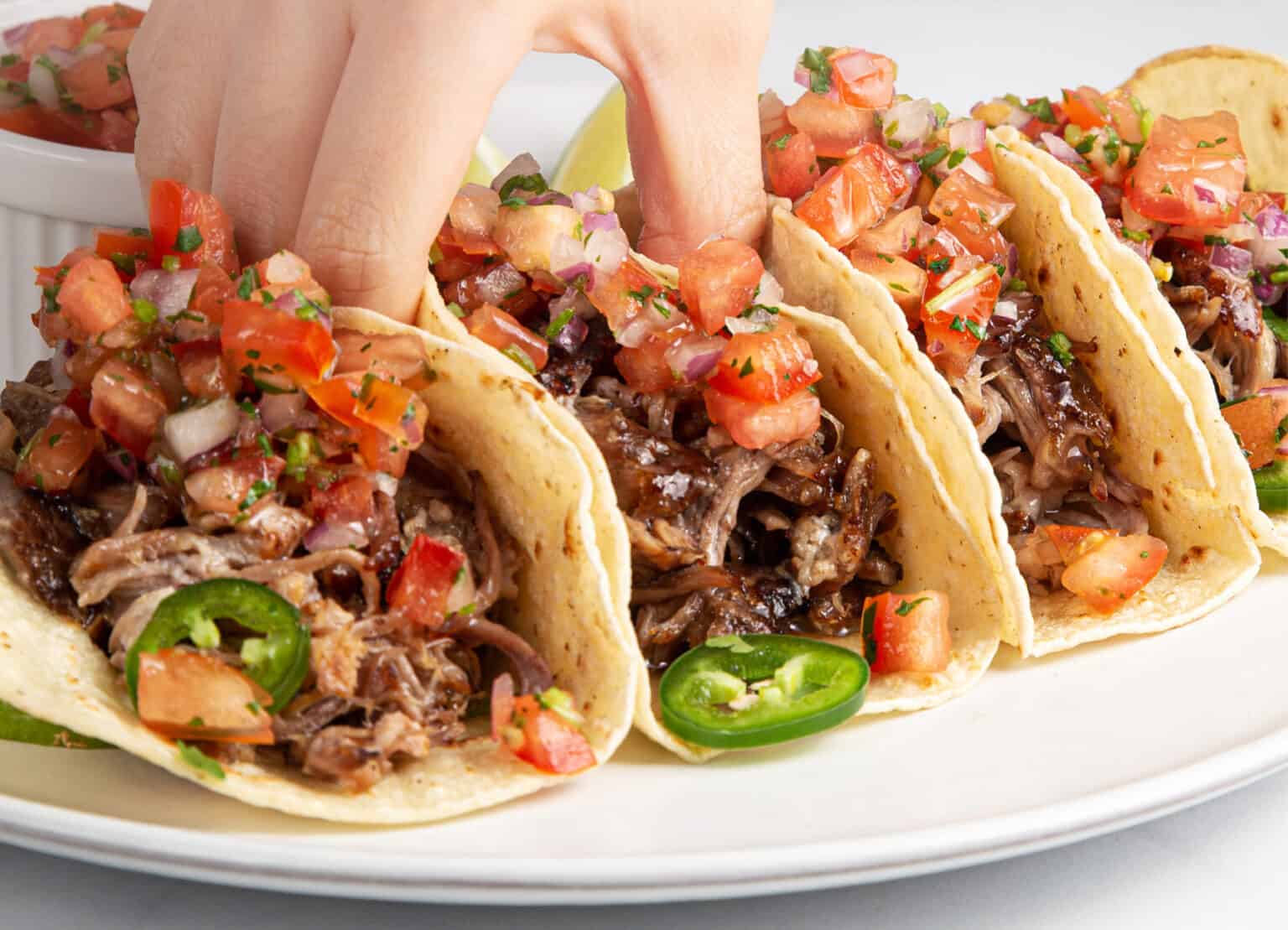 Instant Pot Carnitas Tested by Amy + Jacky