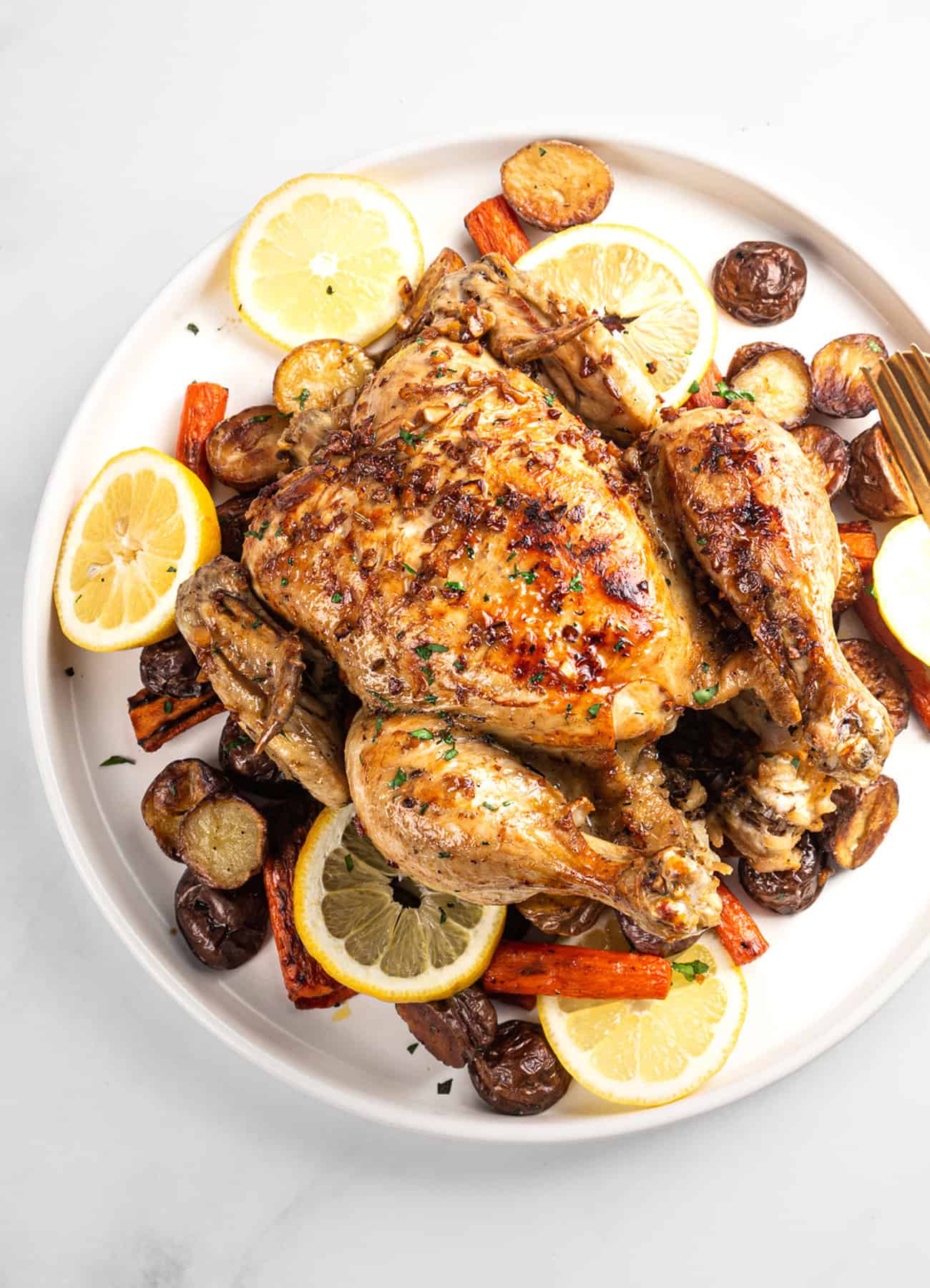 Tracy Cooks in Austin: Whole Chicken in the pressure cooker, the new Nesco  Digital Pressure Cooker, a slight redo. One chicken, one pressure cooker  equals loads of cooked meat and 8 cups