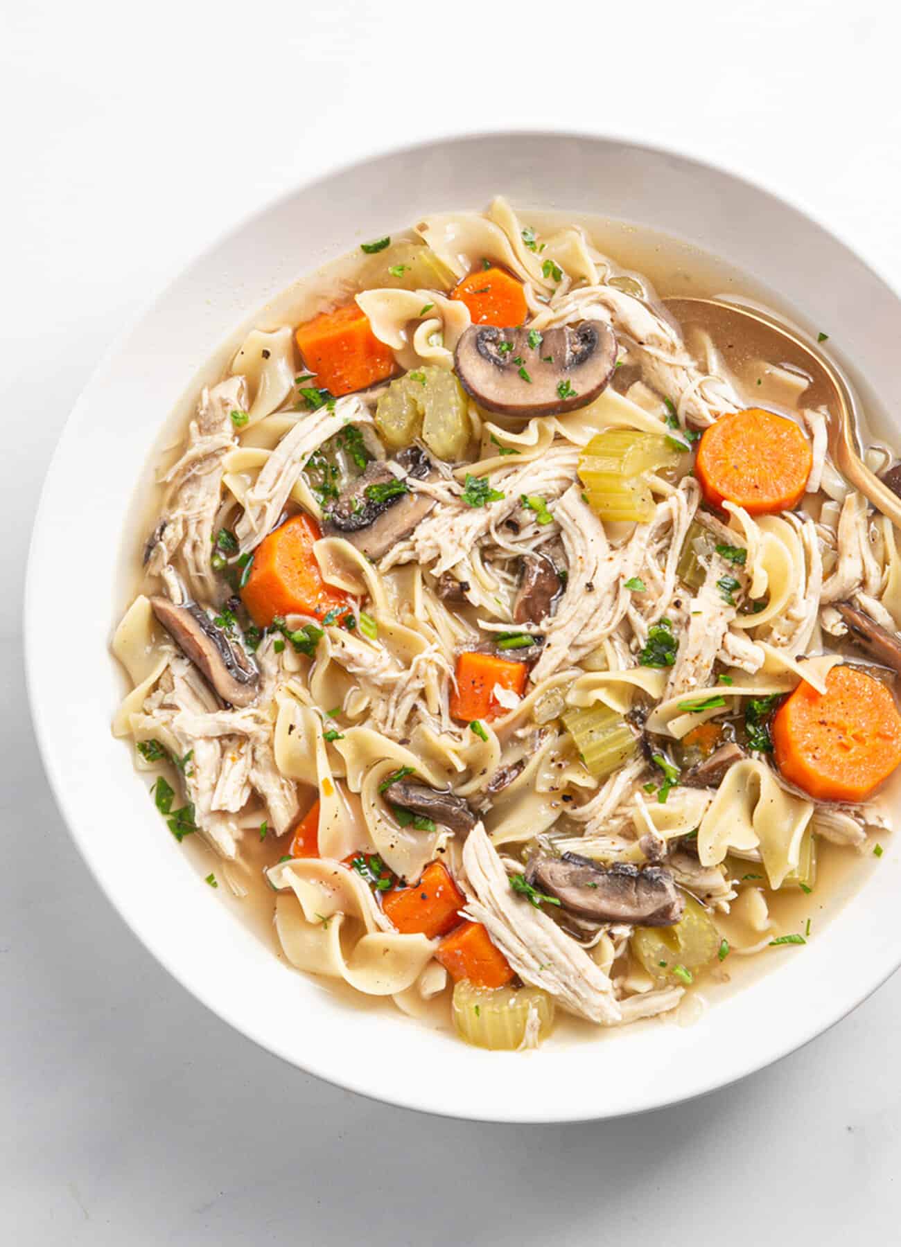 chicken noodle soup instant pot