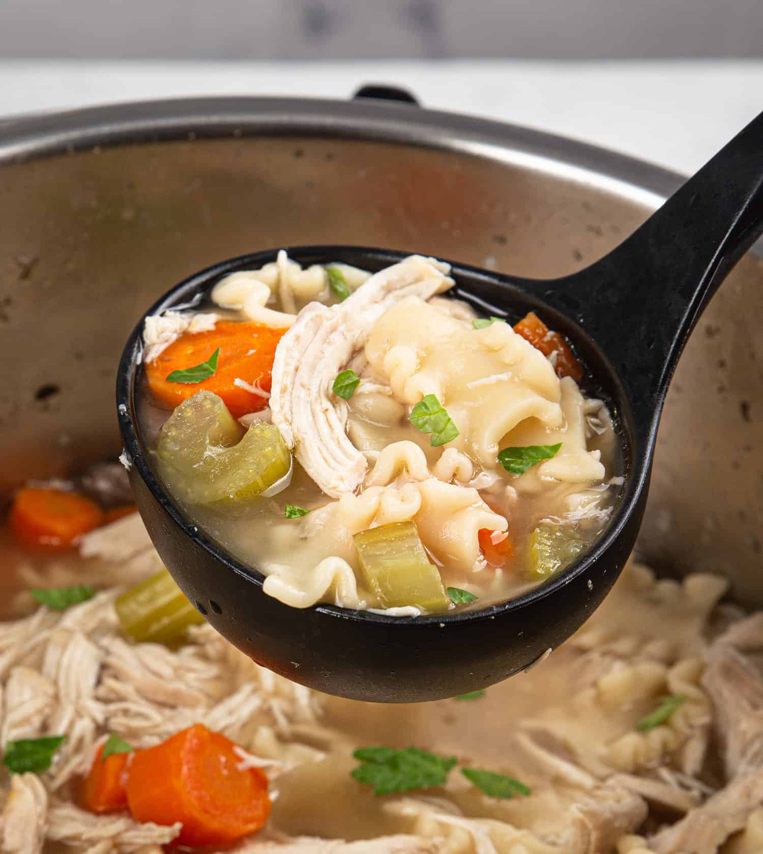 Chicken Noodle Soup in Pressure Cooker - A Cup Full of Sass