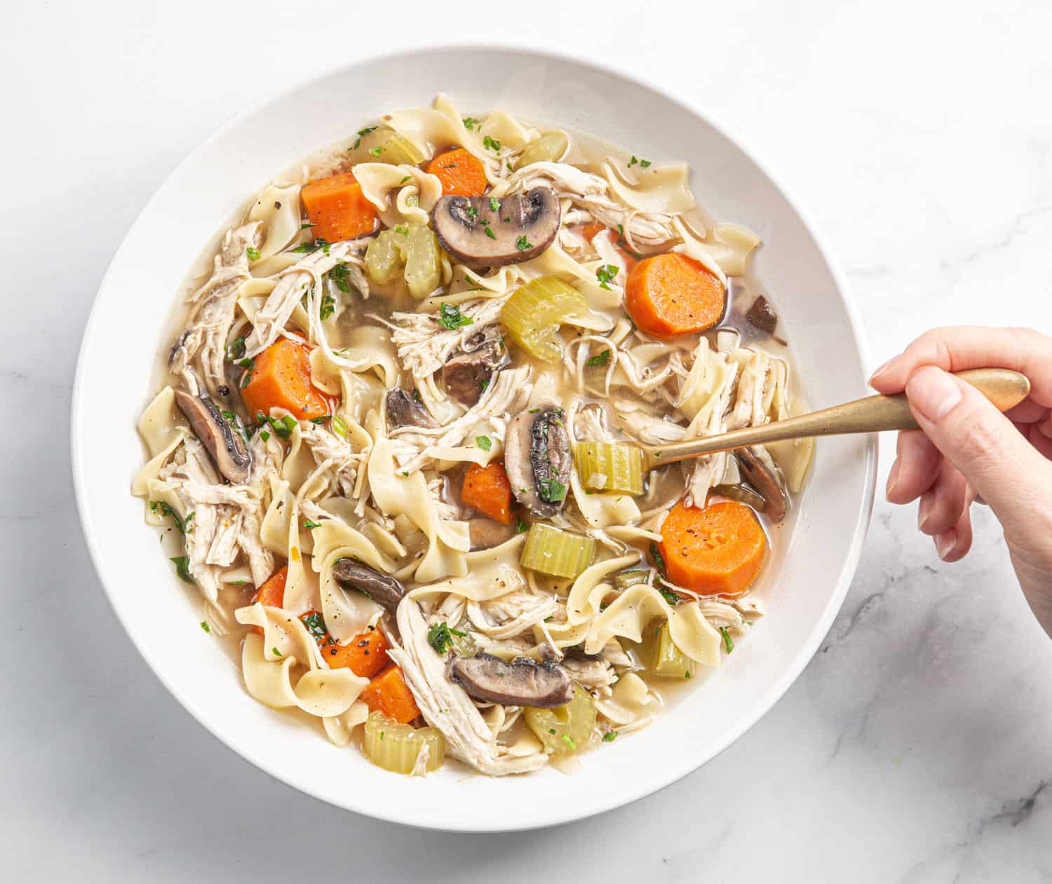 https://www.pressurecookrecipes.com/wp-content/uploads/2023/10/instant-pot-chicken-noodle-soup.jpg