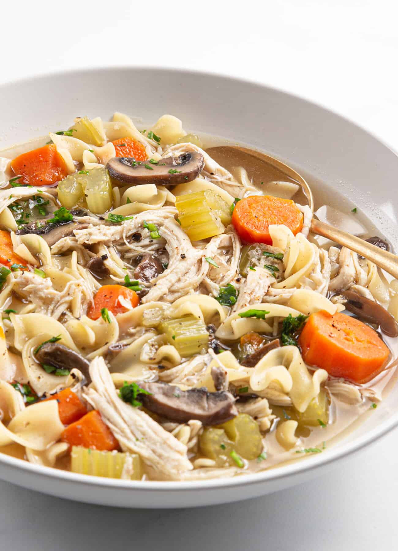 pressure cooker chicken noodle soup