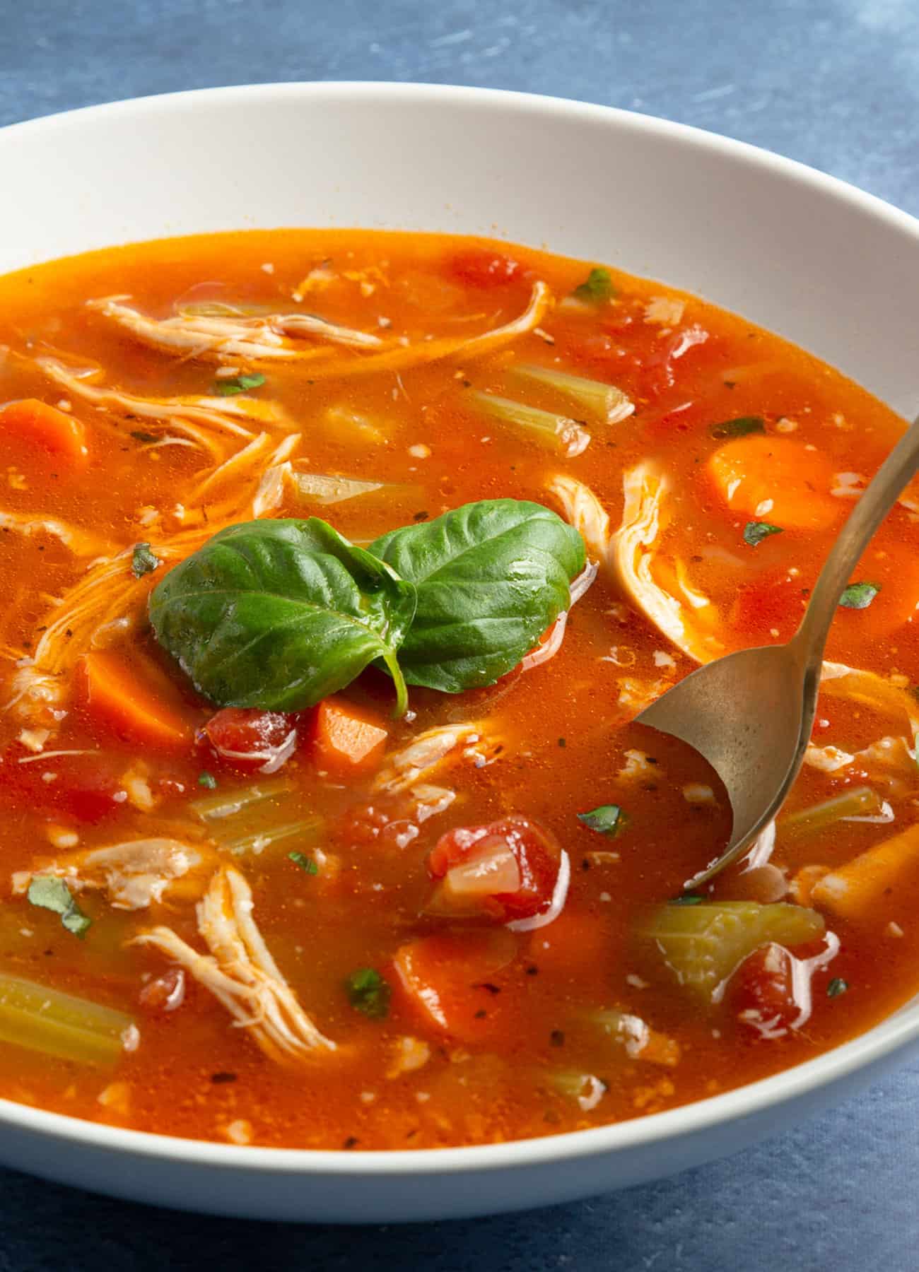 chicken soup instant pot recipe