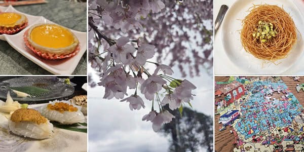 newsletter-20250415-1